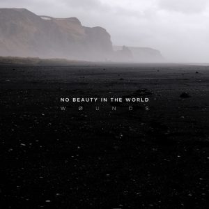 wøunds - No Beauty In The World Вініл
