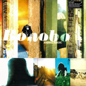 Bonobo – Animal Magic Вініл
