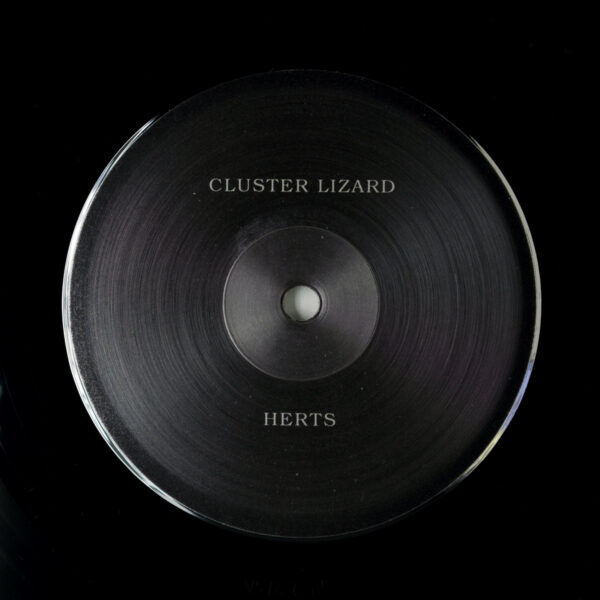 Cluster Lizard – Herts Вініл