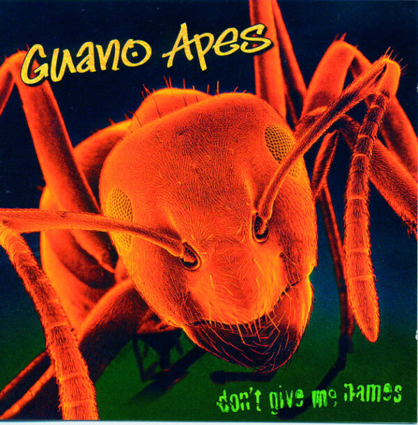 Guano Apes – Don't Give Me Names Вініл