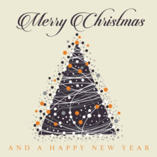 Merry Christmas And A Happy New Year Вініл
