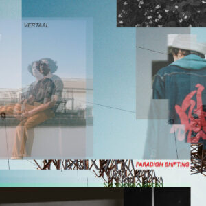 Vertaal – Paradigm Shifting Вініл
